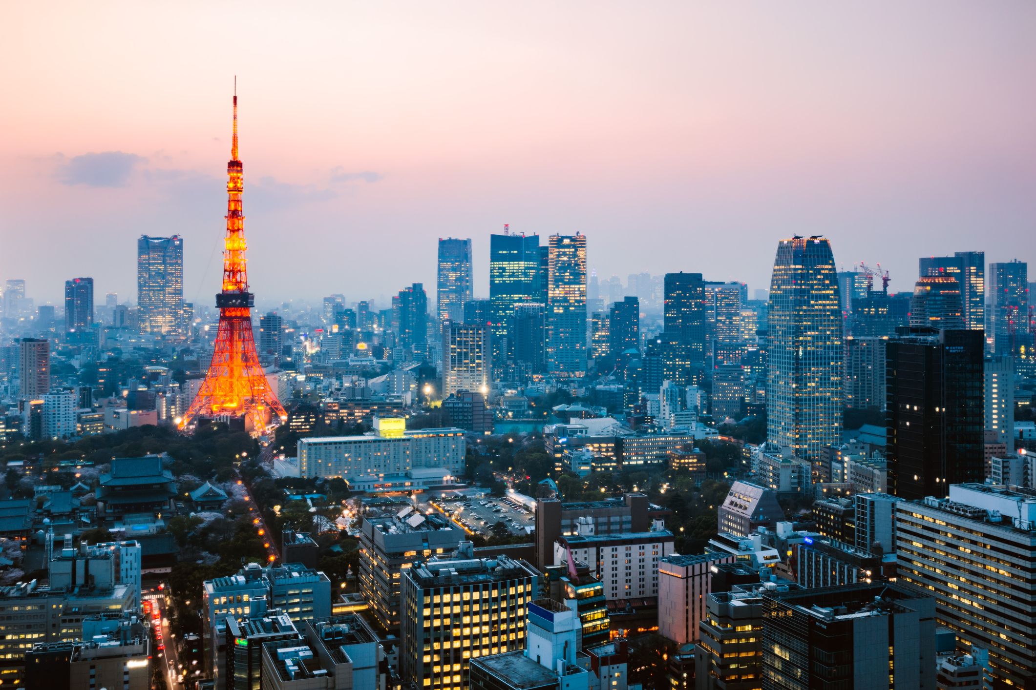 Tokyo View